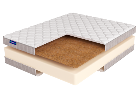 ROLL FOAM 18 Cocos LUX