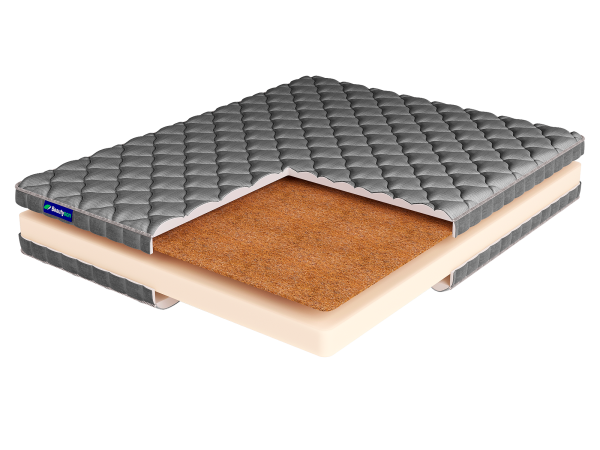 ROLL FOAM 10 Cocos LUX