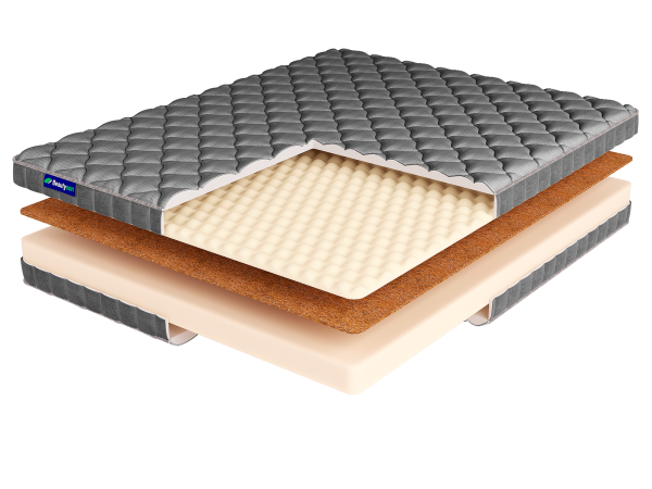 ROLL FOAM 10 Cocos Sens LUX